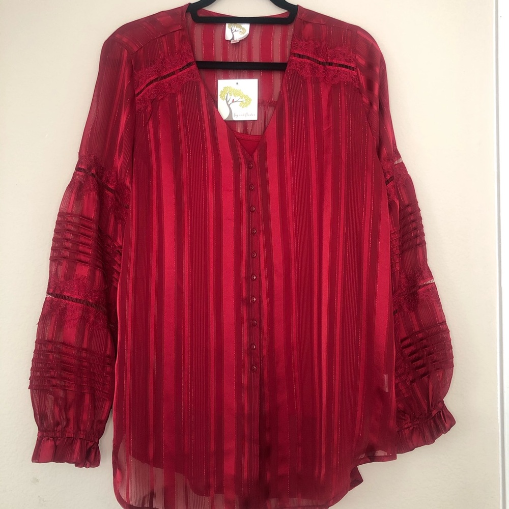 Anthropologie Fig flower Red sheer top long sleeve